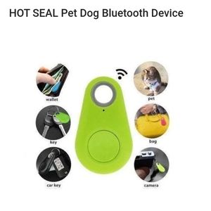 Bluetooth tracking fob